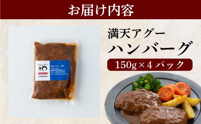 満天アグーと石垣牛のハンバーグ 150g×4 | ふるさと納税 沖縄県 石垣市 石垣 沖縄 石垣島 ふるさと 人気 送料無料 アグー 豚 豚肉 ポーク
