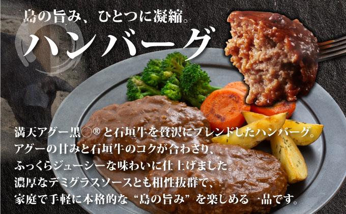 満天アグーと石垣牛のハンバーグ 150g×4 | ふるさと納税 沖縄県 石垣市 石垣 沖縄 石垣島 ふるさと 人気 送料無料 アグー 豚 豚肉 ポーク