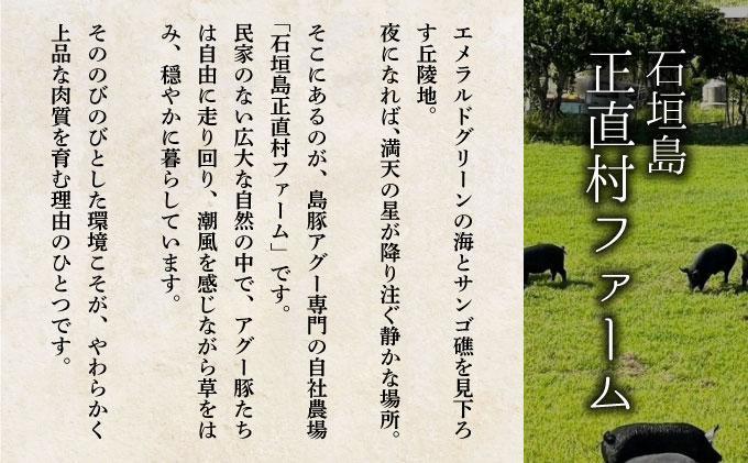 満天アグー 3種セット (ローストポーク 300g ハンバーグ 150g×2 ウインナー 200g×2) | ふるさと納税 沖縄県 石垣市 石垣 沖縄 石垣島 ふるさと 人気 送料無料 アグー 豚 豚肉 ポーク