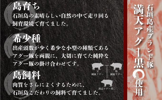 満天アグー 3種セット (ローストポーク 300g ハンバーグ 150g×2 ウインナー 200g×2) | ふるさと納税 沖縄県 石垣市 石垣 沖縄 石垣島 ふるさと 人気 送料無料 アグー 豚 豚肉 ポーク