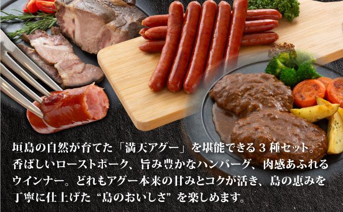満天アグー 3種セット (ローストポーク 300g ハンバーグ 150g×2 ウインナー 200g×2) | ふるさと納税 沖縄県 石垣市 石垣 沖縄 石垣島 ふるさと 人気 送料無料 アグー 豚 豚肉 ポーク
