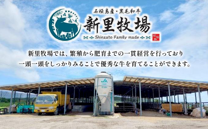 石垣島産黒毛和牛 新里牛 カルビ焼肉 ソトバラ (200g×2) 合計400g  | 和牛 黒毛和牛 バラ カルビ 石垣
