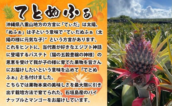 【先行予約2026年5月下旬順次発送】最高糖度20度！？石垣島産完熟ゴールドバレル 2玉 約2.5kg