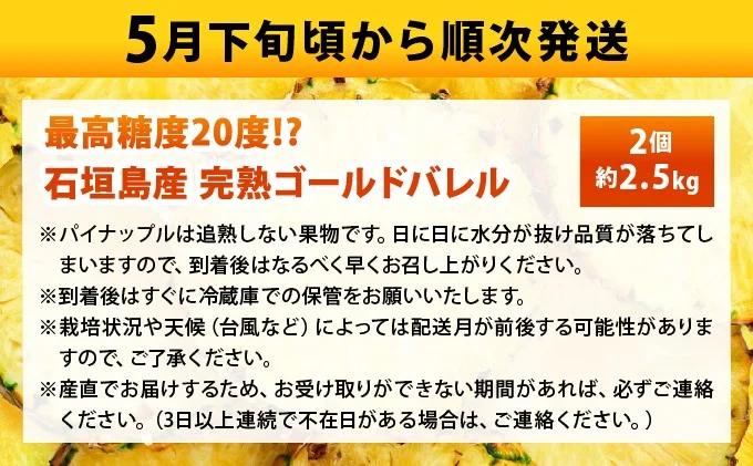 【先行予約2026年5月下旬順次発送】最高糖度20度！？石垣島産完熟ゴールドバレル 2玉 約2.5kg