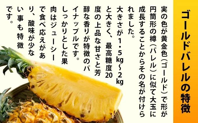 【先行予約2026年5月下旬順次発送】最高糖度20度！？石垣島産完熟ゴールドバレル 2玉 約2.5kg