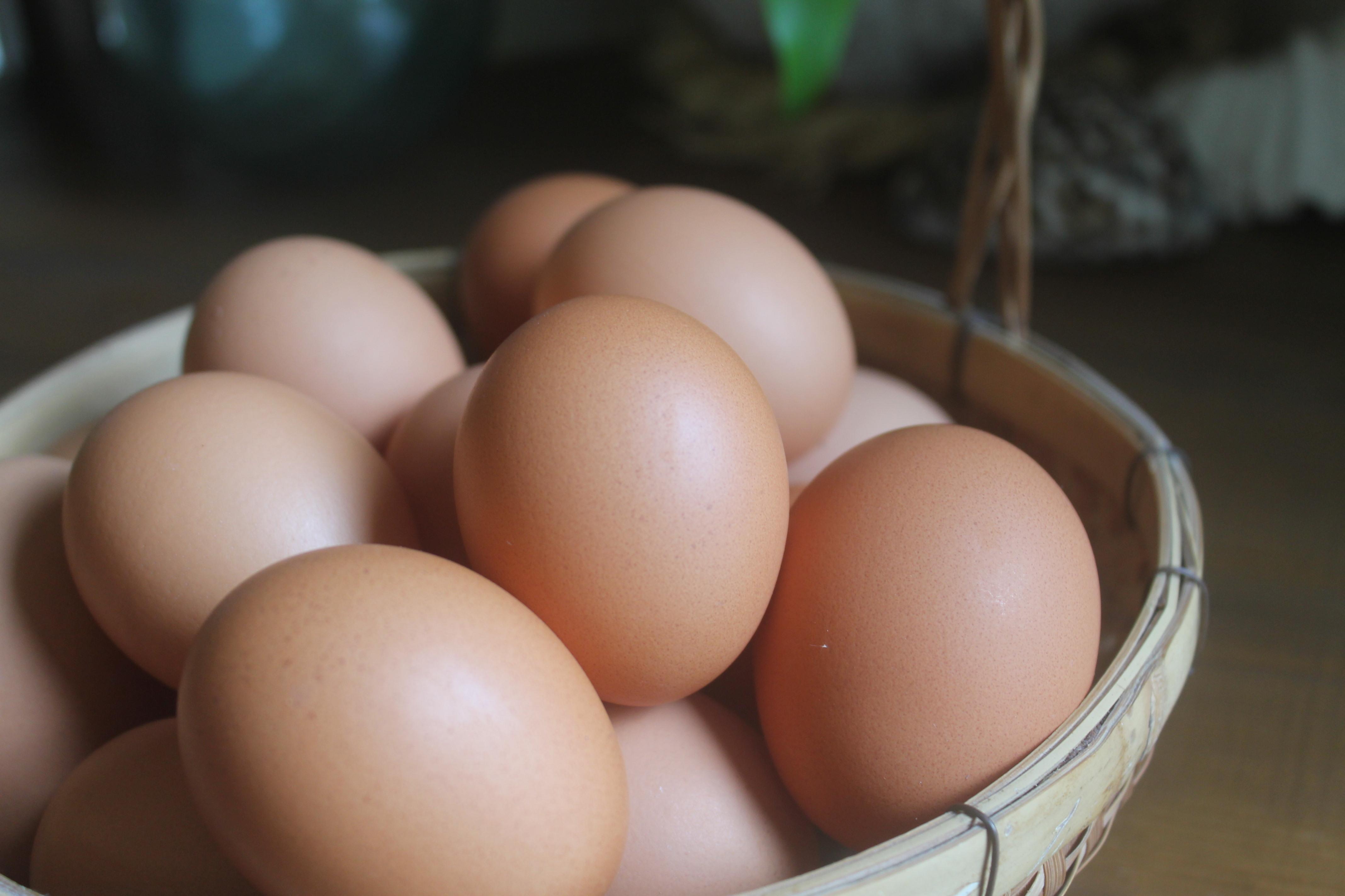 石垣島の卵がたっぷり やさしいプリン 6個セット | プリン 卵 石垣島 沖縄 石垣市 デザート おやつ PK-004