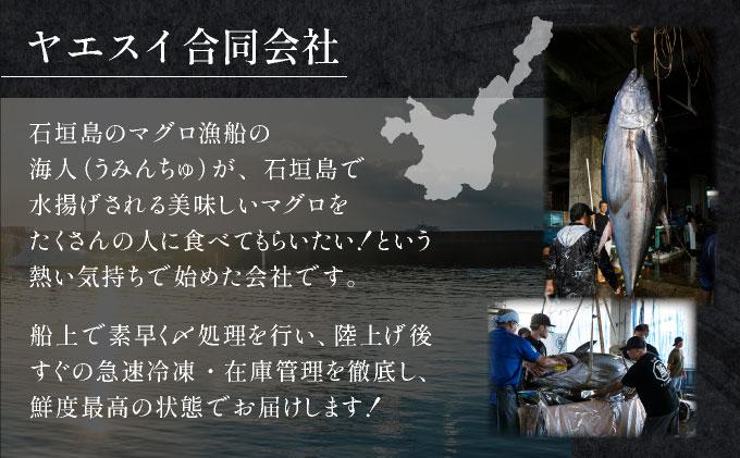 石垣島産 シャコガイ 刺身 200g (100g×2パック) | シャコガイ 貝 刺し身 沖縄県 石垣市 送料無料 天然 急速冷凍 刺身 お刺身 数量限定 ヤエスイ