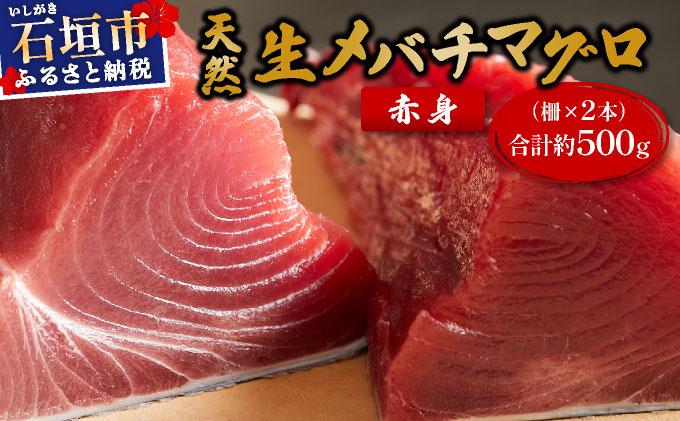 石垣島産 生メバチマグロ 極上 赤身柵 200g～300g×2本 約500g | マグロ 鮪 沖縄県 石垣市 送料無料 天然 まぐろ メバチマグロ めばちまぐろ 刺身 お刺身 冷蔵 ヤエスイ マグロ船直送