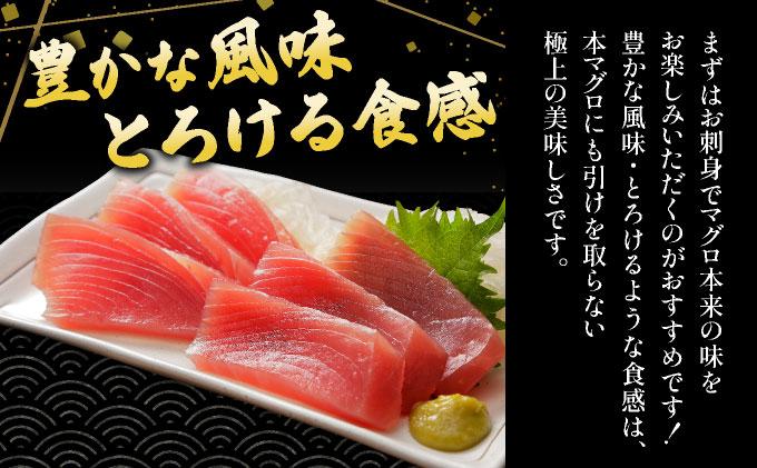 石垣島産 生メバチマグロ 極上 赤身柵 200g～300g×2本 約500g | マグロ 鮪 沖縄県 石垣市 送料無料 天然 まぐろ メバチマグロ めばちまぐろ 刺身 お刺身 冷蔵 ヤエスイ マグロ船直送