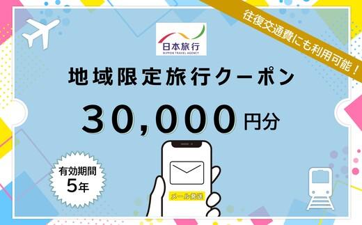 沖縄県石垣市 日本旅行 地域限定旅行クーポン 30,000円分（Eメール発行） 【 日本旅行 トラベルクーポン 納税チケット 旅行 宿泊券 ホテル 観光 旅行 旅行券 交通費 体験 宿泊 夏休み 冬休み 家族旅行 ひとり旅 カップル 夫婦 親子 石垣島旅行 】NR-007