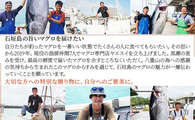 本マグロ からすみパウダー 20g×2個 | マグロ からすみ 鮪 沖縄県 石垣市 まぐろ ヤエスイ マグロ船直送 カラスミ