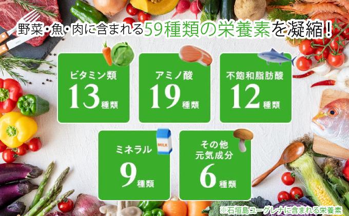 からだにユーグレナ グリーンスムージー乳酸菌 (195g×15本) | ユーグレナ スムージー 健康飲料 乳酸菌飲料 健康 栄養 栄養価 ふるさと 沖縄県 沖縄 石垣 石垣島 石垣市