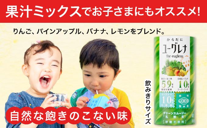 【定期便】《6ヶ月》からだにユーグレナ グリーンスムージー乳酸菌 (195g×15本×6回) | ユーグレナ スムージー 健康飲料 乳酸菌飲料 健康 栄養 栄養価 ふるさと 沖縄県 沖縄 石垣 石垣島 石垣市