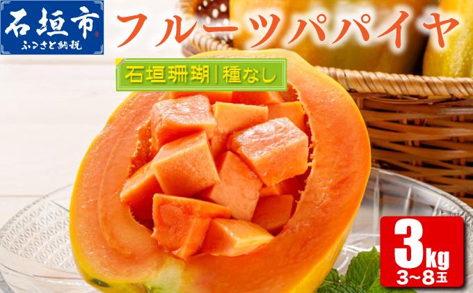 フルーツパパイヤ 3kg | パパイヤ フルーツパパイヤ 果物 くだもの フルーツ 果実 国産  沖縄県 沖縄 石垣 石垣島 石垣市