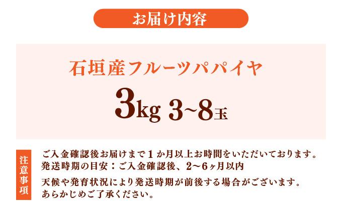 フルーツパパイヤ 3kg | パパイヤ フルーツパパイヤ 果物 くだもの フルーツ 果実 国産  沖縄県 沖縄 石垣 石垣島 石垣市