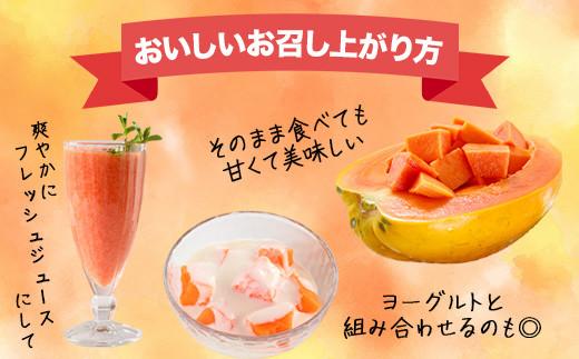 フルーツパパイヤ 3kg | パパイヤ フルーツパパイヤ 果物 くだもの フルーツ 果実 国産  沖縄県 沖縄 石垣 石垣島 石垣市