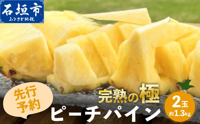 ＜期間限定 春フェア＞《2026年4月以降順次発送》お試し用 ピーチパイン 2玉 (約1.3kg) | 石垣島産 パイナップル 沖縄 石垣島 石垣 八重山 パイン ピーチパイン 数量限定 沖縄県 期間限定