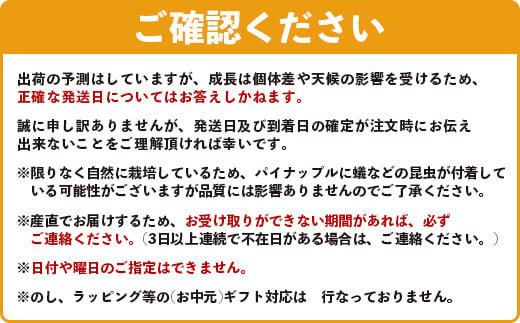 ＜期間限定 春フェア＞《2026年4月以降順次発送》お試し用 ピーチパイン 2玉 (約1.3kg) | 石垣島産 パイナップル 沖縄 石垣島 石垣 八重山 パイン ピーチパイン 数量限定 沖縄県 期間限定