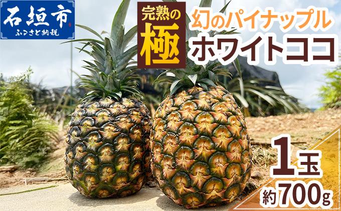 ＜期間限定 春フェア＞《2026年5月以降順次発送》[先行予約] お試し用 幻のパイナップル ホワイトココ 1玉  [マツコの知らない世界で絶賛] | 沖縄 石垣島 石垣 八重山 パイン パイナップル 期間限定 数量限定 TV テレビ 紹介 マツコ