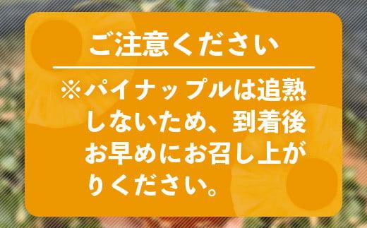 ＜期間限定 春フェア＞《2026年5月以降順次発送》[先行予約] お試し用 幻のパイナップル ホワイトココ 1玉  [マツコの知らない世界で絶賛] | 沖縄 石垣島 石垣 八重山 パイン パイナップル 期間限定 数量限定 TV テレビ 紹介 マツコ