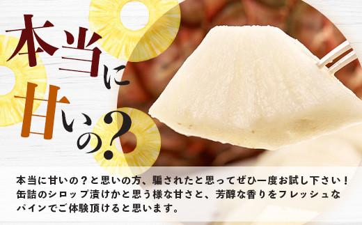 ＜期間限定 春フェア＞《2026年5月以降順次発送》[先行予約] お試し用 幻のパイナップル ホワイトココ 1玉  [マツコの知らない世界で絶賛] | 沖縄 石垣島 石垣 八重山 パイン パイナップル 期間限定 数量限定 TV テレビ 紹介 マツコ