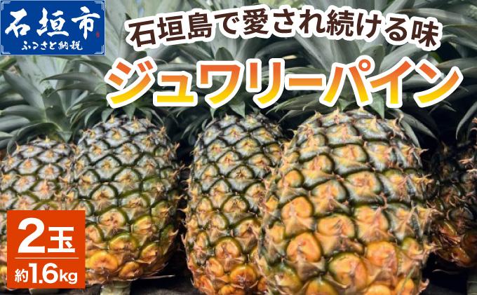 ＜期間限定 春フェア＞《2026年5月下旬〜7月中旬発送》お試し用 石垣島産ジュワリーパイン 2玉 約1.4kg | 沖縄県 石垣市 石垣島 完熟 パイン パイナップル ジュワリー 予約受付