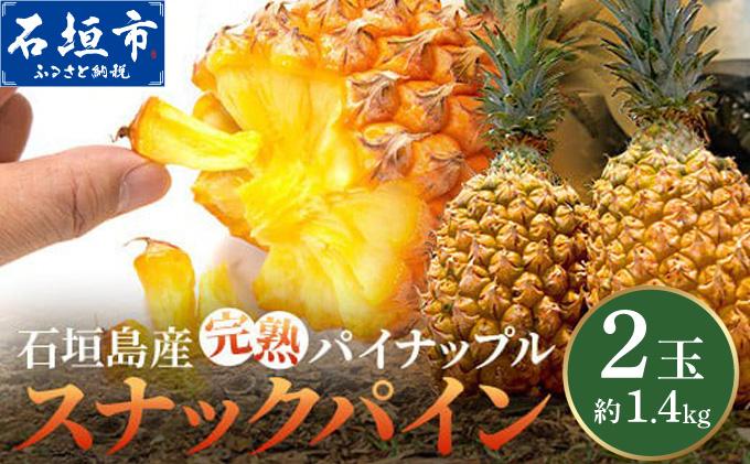 ＜期間限定 春フェア＞《2026年4月～6月発送》お試し用 石垣島産 完熟 スナックパイン 2玉 約1.4kg | パイン パイナップル ボゴール 沖縄 石垣島 石垣 八重山 期間限定 数量限定 産地直送 送料無料