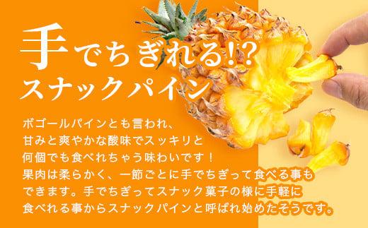 ＜期間限定 春フェア＞《2026年4月～6月発送》お試し用 石垣島産 完熟 スナックパイン 2玉 約1.4kg | パイン パイナップル ボゴール 沖縄 石垣島 石垣 八重山 期間限定 数量限定 産地直送 送料無料
