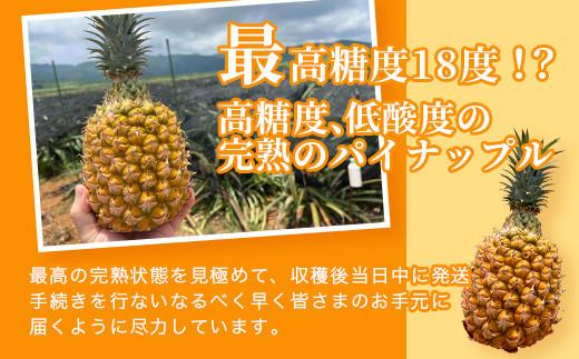 ＜期間限定 春フェア＞《2026年4月～6月発送》お試し用 石垣島産 完熟 スナックパイン 2玉 約1.4kg | パイン パイナップル ボゴール 沖縄 石垣島 石垣 八重山 期間限定 数量限定 産地直送 送料無料