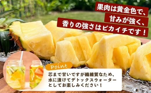 ＜期間限定 春フェア＞《2026年5月中旬以降順次発送》[先行予約] お試し用 てとの黄金パイン 1玉 約1.4kg | 沖縄 石垣 ゴールデン パイン パイナップル 完熟 セット フルーツ デザート