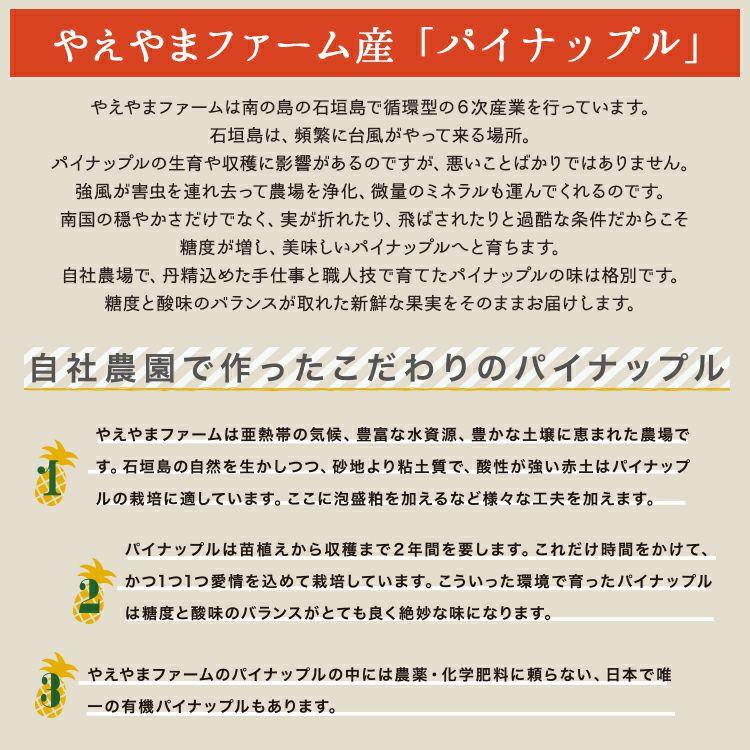 ＜先行予約＞【訳アリ】石垣島産有機パイナップル 約2.8kg(2～5玉) | 沖縄県 石垣市 石垣島 南国 フルーツ 果物 季節限定 パイン