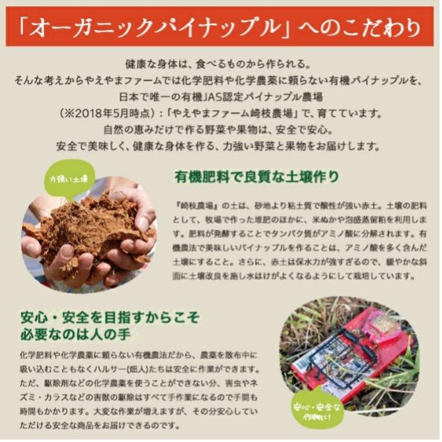 ＜先行予約＞【訳アリ】石垣島産有機パイナップル 約2.8kg(2～5玉) | 沖縄県 石垣市 石垣島 南国 フルーツ 果物 季節限定 パイン