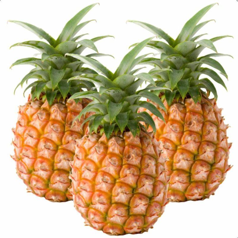 ＜先行予約＞ 石垣島産 パイナップル・ピーチ種 約2.4kg(3～4玉) | 沖縄県 石垣市 石垣島 南国 フルーツ 果物 季節限定 パイン