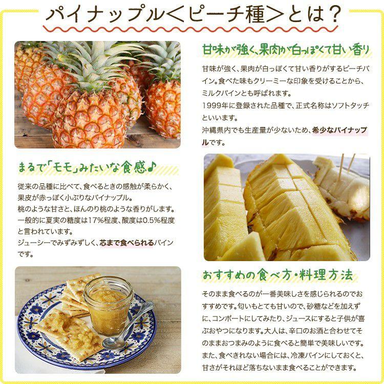 ＜先行予約＞ 石垣島産 パイナップル・ピーチ種 約2.4kg(3～4玉) | 沖縄県 石垣市 石垣島 南国 フルーツ 果物 季節限定 パイン