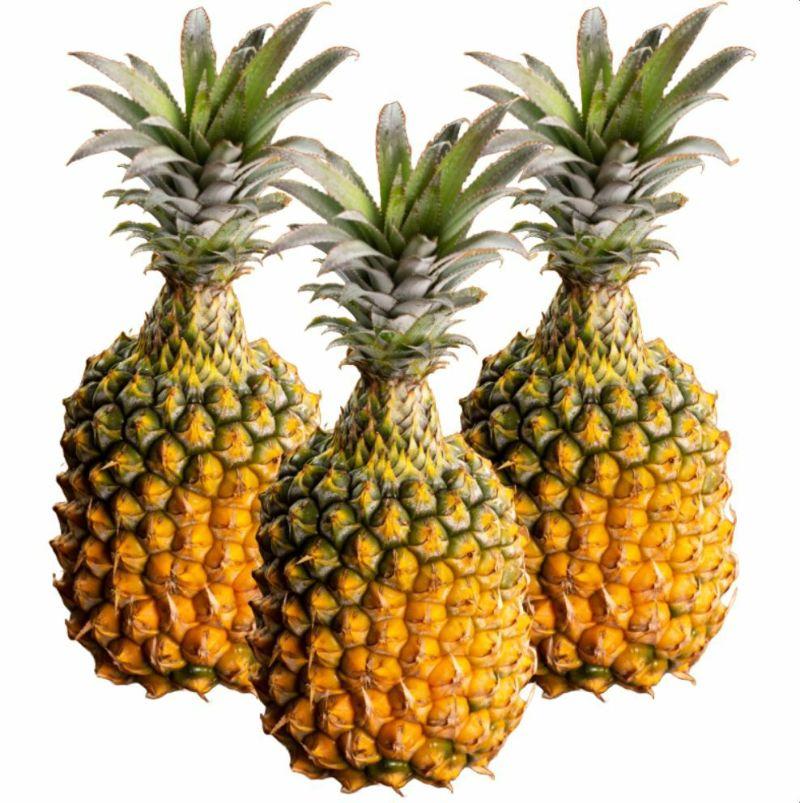 ＜先行予約＞ 石垣島産 スナックパイン ボゴール種 約2.8kg(2～4玉) | 沖縄県 石垣市 石垣島 南国 フルーツ 果物 季節限定 パイン