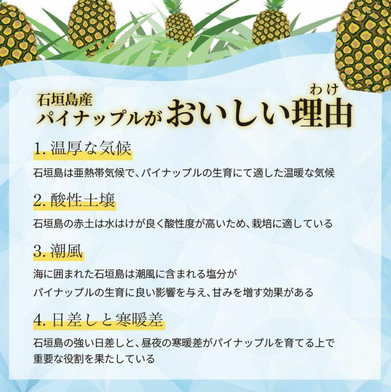 石垣島産 カットパイナップル 3種食べ比べセット900g(300g×3袋) | 沖縄県 石垣市 石垣島 南国 フルーツ 果物 季節限定 パイン