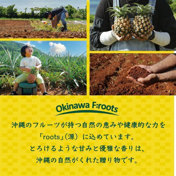 石垣島産 パイナップルジュース 500ml×10本 | 沖縄県 石垣市 石垣島 南国 フルーツ 果物 パイン ジュース 飲料 ドリンク