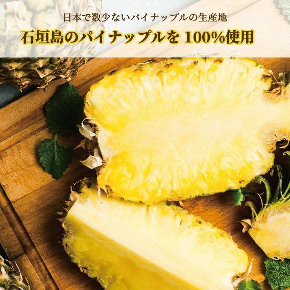 石垣島産 パイナップルジュース 500ml×2本 | 沖縄県 石垣市 石垣島 南国 フルーツ 果物 パイン ジュース 飲料 ドリンク