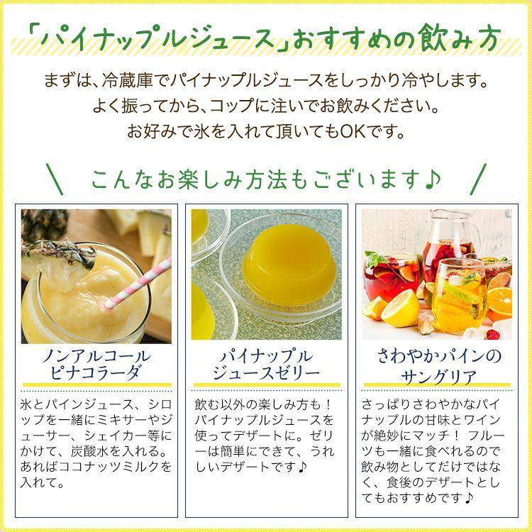 石垣島産 パイナップルジュース 500ml×2本 | 沖縄県 石垣市 石垣島 南国 フルーツ 果物 パイン ジュース 飲料 ドリンク