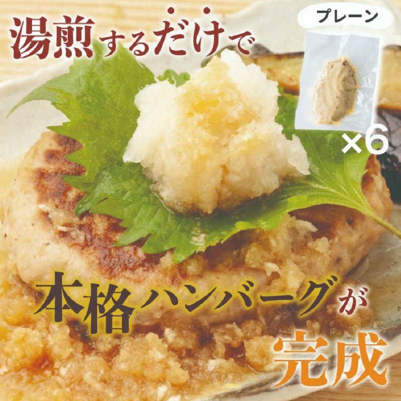 南ぬ豚焼成ハンバーグ 100g×6個 | 沖縄県 石垣市 石垣島 南国 アグー豚 豚 小分け 便利 簡単 湯煎 おかず