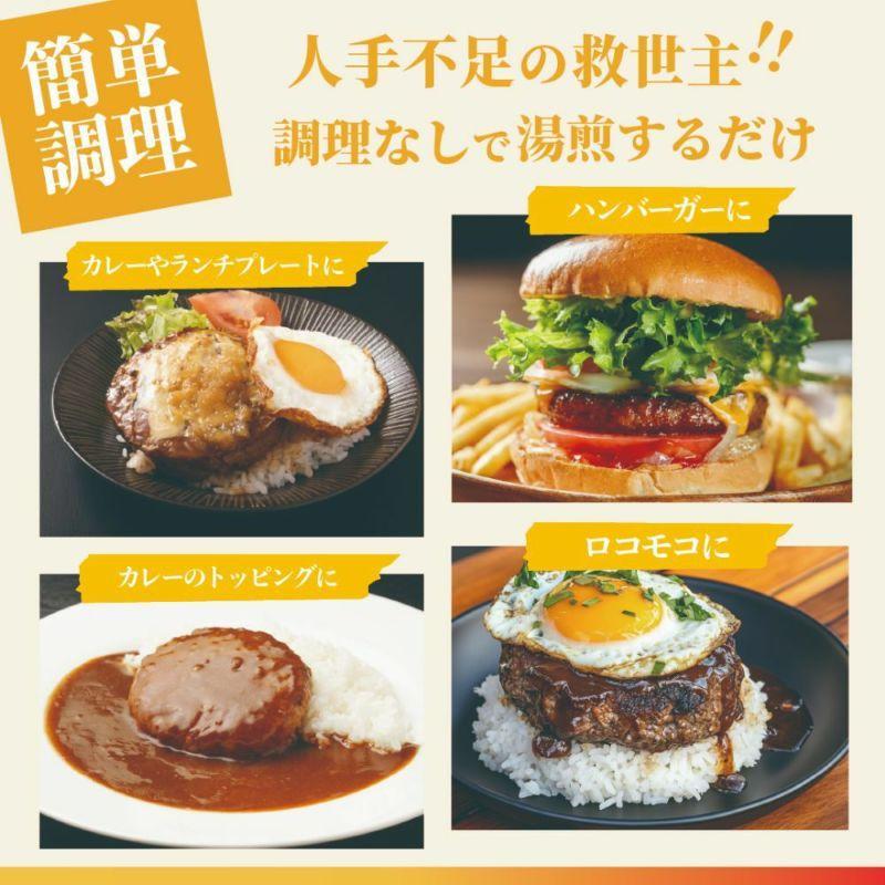 南ぬ豚デミグラスハンバーグ 150g×6個 | 沖縄県 石垣市 石垣島 南国 アグー豚 豚 小分け 便利 簡単 湯煎 おかず