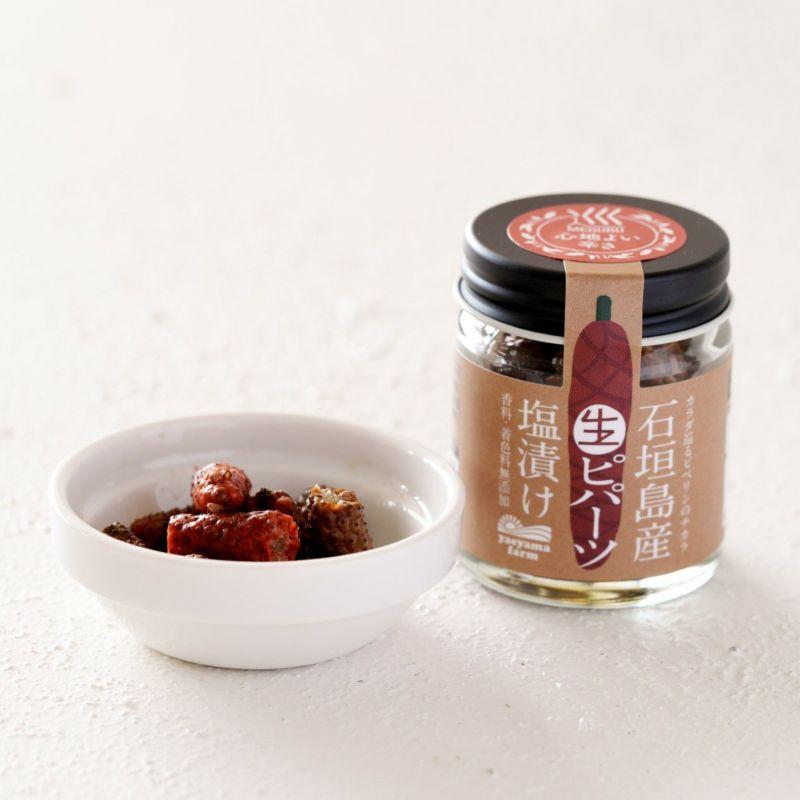 石垣島産ピパーツ 3種詰め合わせセット | 沖縄県 石垣市 石垣島 南国 スパイス ヒハツモドキ 塩漬け オリーブオイル漬け フリーズドライ セット 調味料 香辛料