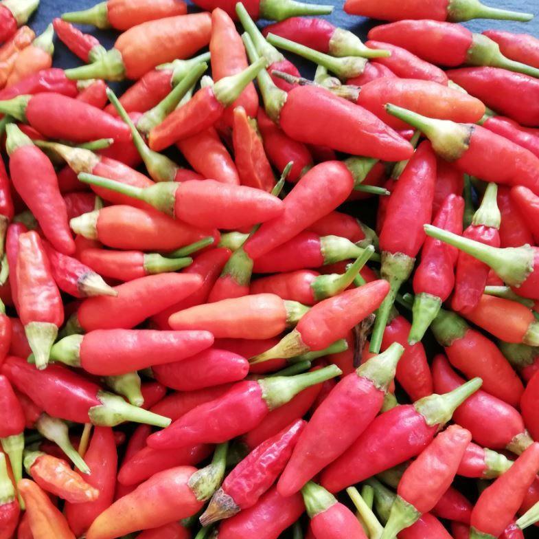 ç³å£å³¶ã¹ãã€ã¹ çæå³¶åèŸå 7皮詰åãã»ãã | æ²çžç ç³å£åž ç³å£å³¶ ååœ ã¹ãã€ã¹ å³¶åèŸå 麹 èª¿å³æ è é 麺 ãšãããã ããŒã¹ã ãªãªãŒããªã€ã« ã®ãã