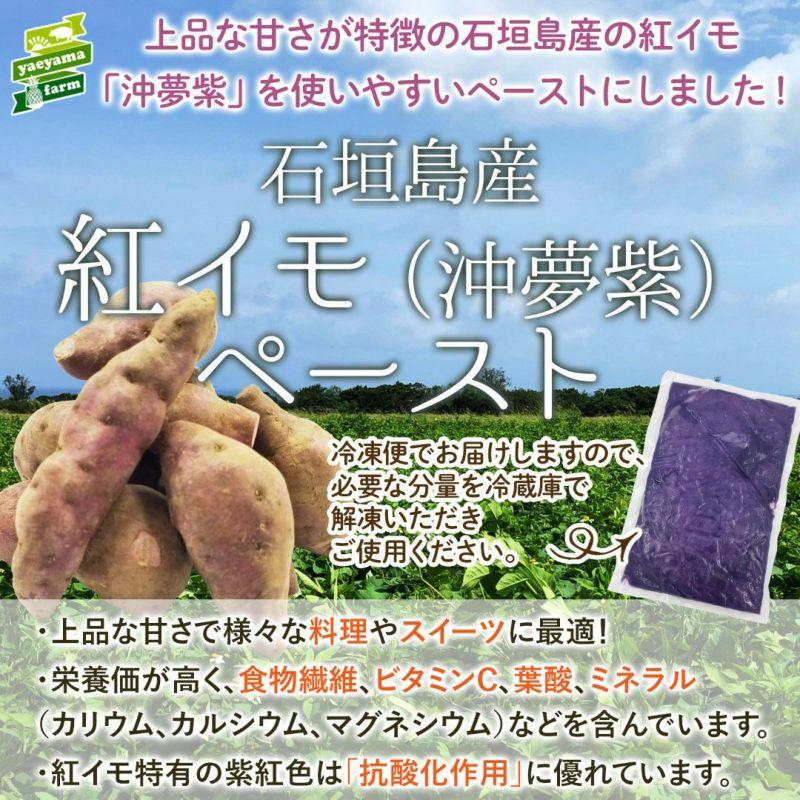 石垣島産紅芋「沖夢紫」ペースト 3kg | 沖縄県 石垣市 石垣島 南国 紅イモ スイーツ 料理
