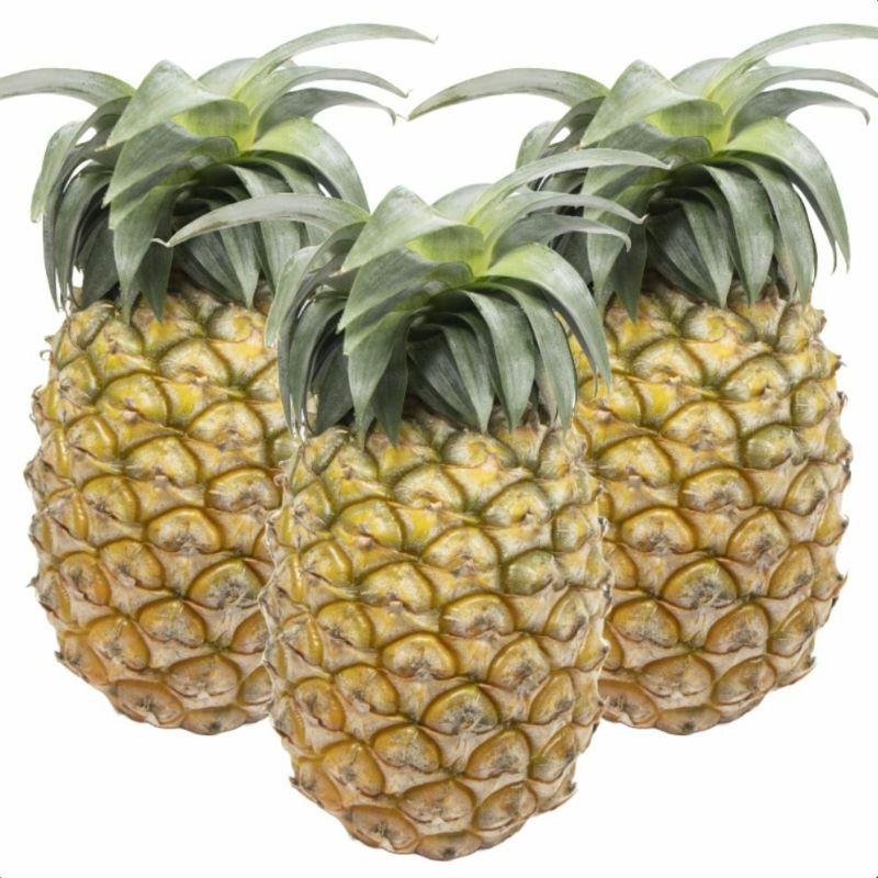 ＜先行予約＞ 石垣島産パイナップル 島パイン・ハワイ種 約2.8kg(2～4玉) | 沖縄県 石垣市 石垣島 南国 フルーツ 果物 季節限定 パイン