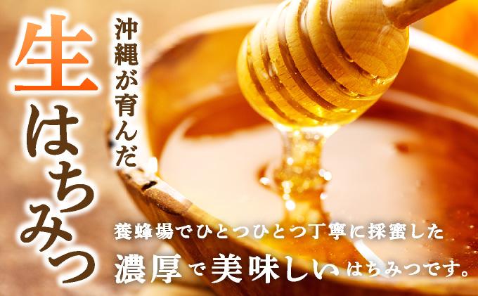 石垣島産 生はちみつ 200g | 沖縄県 石垣市 石垣島 蜂蜜 ハチミツ