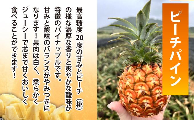 《4月以降発送》袋をあければそこは南国！完熟ピーチパインをカットして小分けでお届け！ 100g×6パック  TF-104 冷凍カットパイン（ピーチパイン）100g×6袋 | 沖縄県 石垣市 石垣島 南国 フルーツ 冷凍