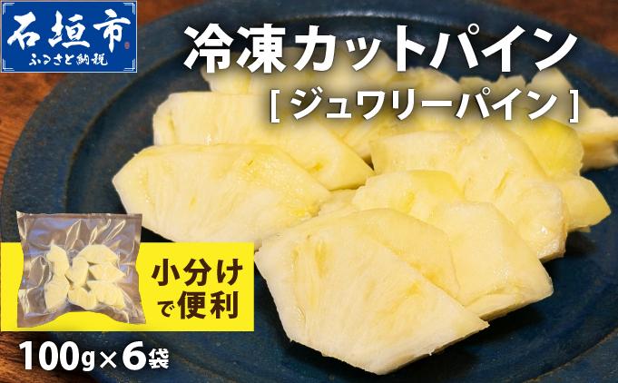 《6月以降発送》袋をあければそこは南国！完熟ジュワリーパインをカットして小分けでお届け！ 100g×6パック  TF-105 冷凍カットパイン（ジュワリーパイン）100g×6袋 | 沖縄県 石垣市 石垣島 南国 フルーツ 冷凍