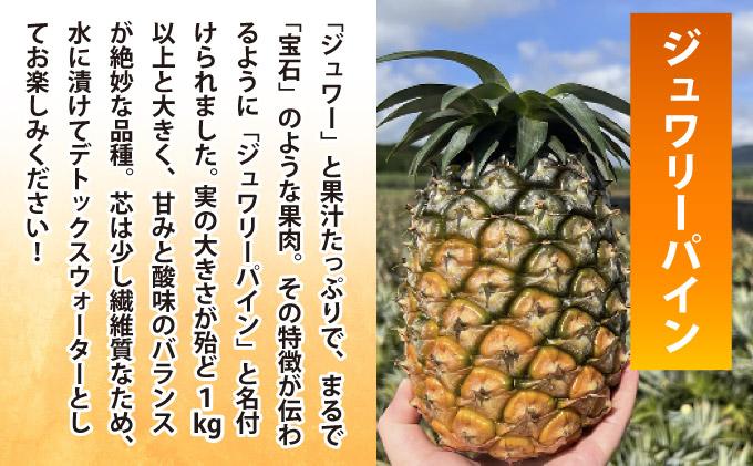 ã6æä»¥éçºéãè¢ããããã°ããã¯ååœïŒå®çãžã¥ã¯ãªãŒãã€ã³ãã«ããããŠå°åãã§ãå±ãïŒ 100gÃ6ãã㯠TF-105 å·åã«ãããã€ã³ïŒãžã¥ã¯ãªãŒãã€ã³ïŒ100gÃ6è¢ | æ²çžç ç³å£åž ç³å£å³¶ ååœ ãã«ãŒã å·å