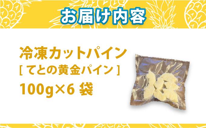 《6月以降発送》袋をあければそこは南国！完熟てとの黄金パインをカットして小分けでお届け！ 100g×6パック  TF-106 冷凍カットパイン（てとの黄金パイン）100g×6袋 | 沖縄県 石垣市 石垣島 南国 フルーツ 冷凍